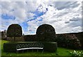 Filleigh, Castle Hill Gardens: Immaculately manicured seating area