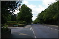 View south along Southend Road, Beckenham