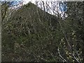 Disused Quarry Building