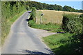 North Downs Way off Long Lane