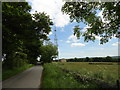 Phone mast near Shotleyfield