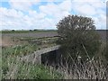 Bridge over Main Sluice, Engine Lane, Great Altcar