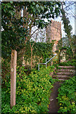 ST0441 : Old Cleeve : Steps to St Andrew's Church by Lewis Clarke