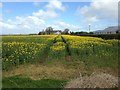 Cornfield Farm