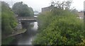 Sheffield and Tinsley Canal