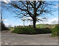 South Hele Cross