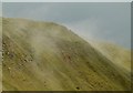 SO5977 : Steaming hillside, Titterstone Clee by Alan Murray-Rust