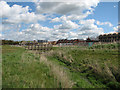 Trumpington Meadows Country Park and the new edge of Cambridge