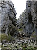 SD9164 : Gordale Scar by Russel Wills