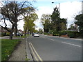 Houses on Chase Side (A111)