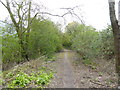 Path goes north between industrial estate and railway