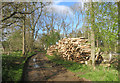 Log pile in Bath Hill Wood