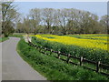 Rape field near Dean Court