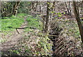 Stream behind Ty-Brachty Terrace, Kendon