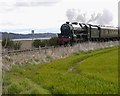NH5646 : 44871 with Great Britain IX, passing Groam Farm by Craig Wallace