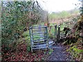 Llwybr Cwm Trebeddrod Path