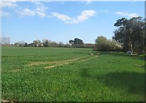 TQ0702 : Farmland near Kingston Manor by Mr Ignavy