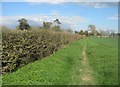 Path towards Kingston Lane