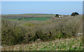 Woodland and farmland near Welcombe, Devon