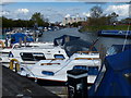 Boats moored along the Fossdyke Canal