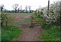 Footpath and fields