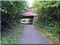 Cuckoo Trail passes beneath London Road