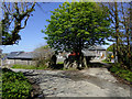 Lane at Mead near Welcombe, Devon