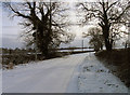 SK7308 : Twyford Road towards Tilton on the Hill by Andrew Tatlow