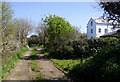 Footpath and farm track near Mead, Devon