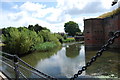 SU5902 : Moat around Fort Brockhurst (7) by Barry Shimmon