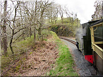 SN7377 : Vale of Rheidol Railway near Devil's Bridge by Gareth James