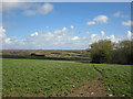 Fields near Glastir, Nevern