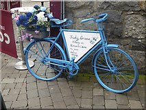 M2924 : Floral publicity bike in Quay Street by Oliver Dixon