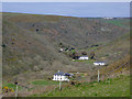 Wooded valley west of Welcombe, Devon