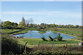 View of a small lake in the back garden of one of the accommodation blocks in Mill Rythe Holiday Village from the coastal path