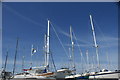 View of a plethora of masts in the Marina from the Marina car park #5