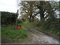 Farm track off Burlingham Road
