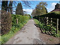 Footpath - Spofforth Hill