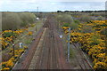 Railway Line to Kilwinning