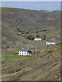 Wooded valley west of Welcombe, Devon