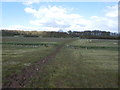 Bridleway at Hollin Hills