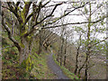 SH7401 : Hillside path on Pen yr Allt by Gareth James