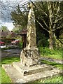SO8449 : Cross in Kempsey churchyard by Philip Halling