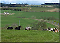 Farmland at Eastfield