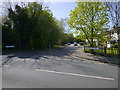 Looking into Warburton Close