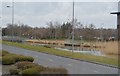 Landscaping, Estuary Banks Business Park