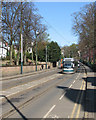 A tram in Waverley Street