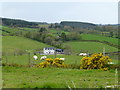 Tycanny Townland