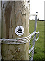 ST5466 : Monarch's Way sticker by Neil Owen