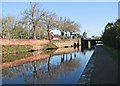 SK5738 : A May morning by the Nottingham Canal by John Sutton